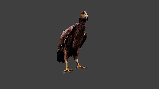 Vulture Low-poly 3D model