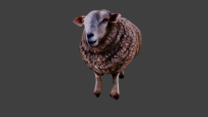 Sheep  3D model