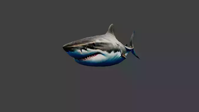 Shark