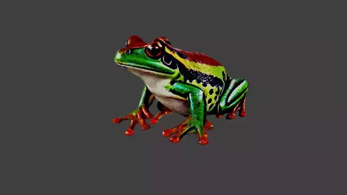 Frog Animal Low-poly 3D model
