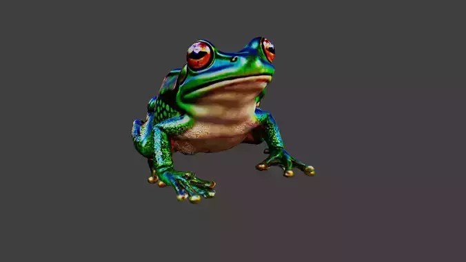 Frog Animal