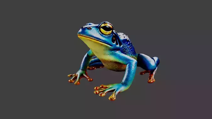 Frog Animal
