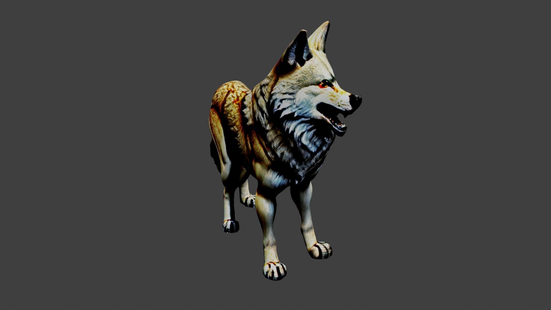 Wolf Animal Low-poly 3D model_6