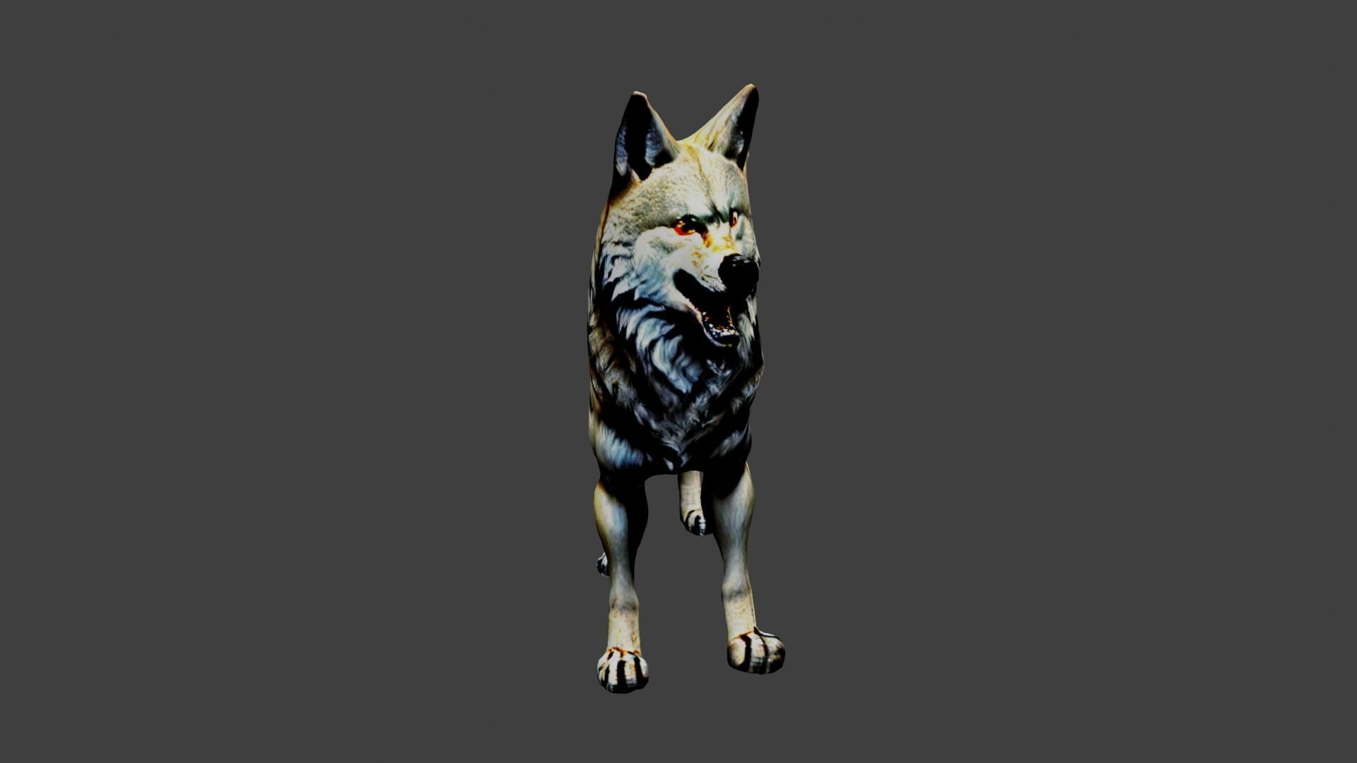 Wolf Animal Low-poly 3D model_3