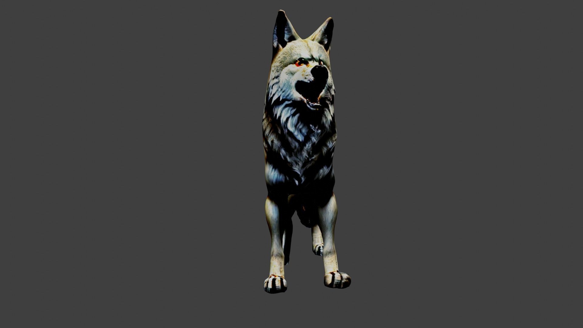 Wolf Animal Low-poly 3D model_2