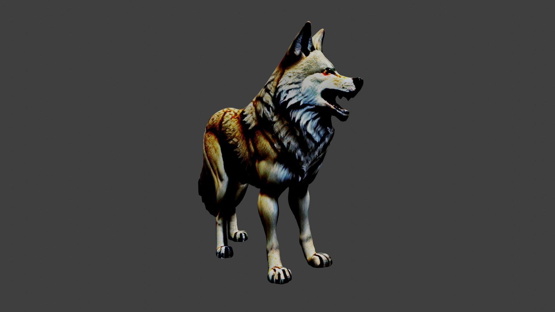 Wolf Animal Low-poly 3D model_5