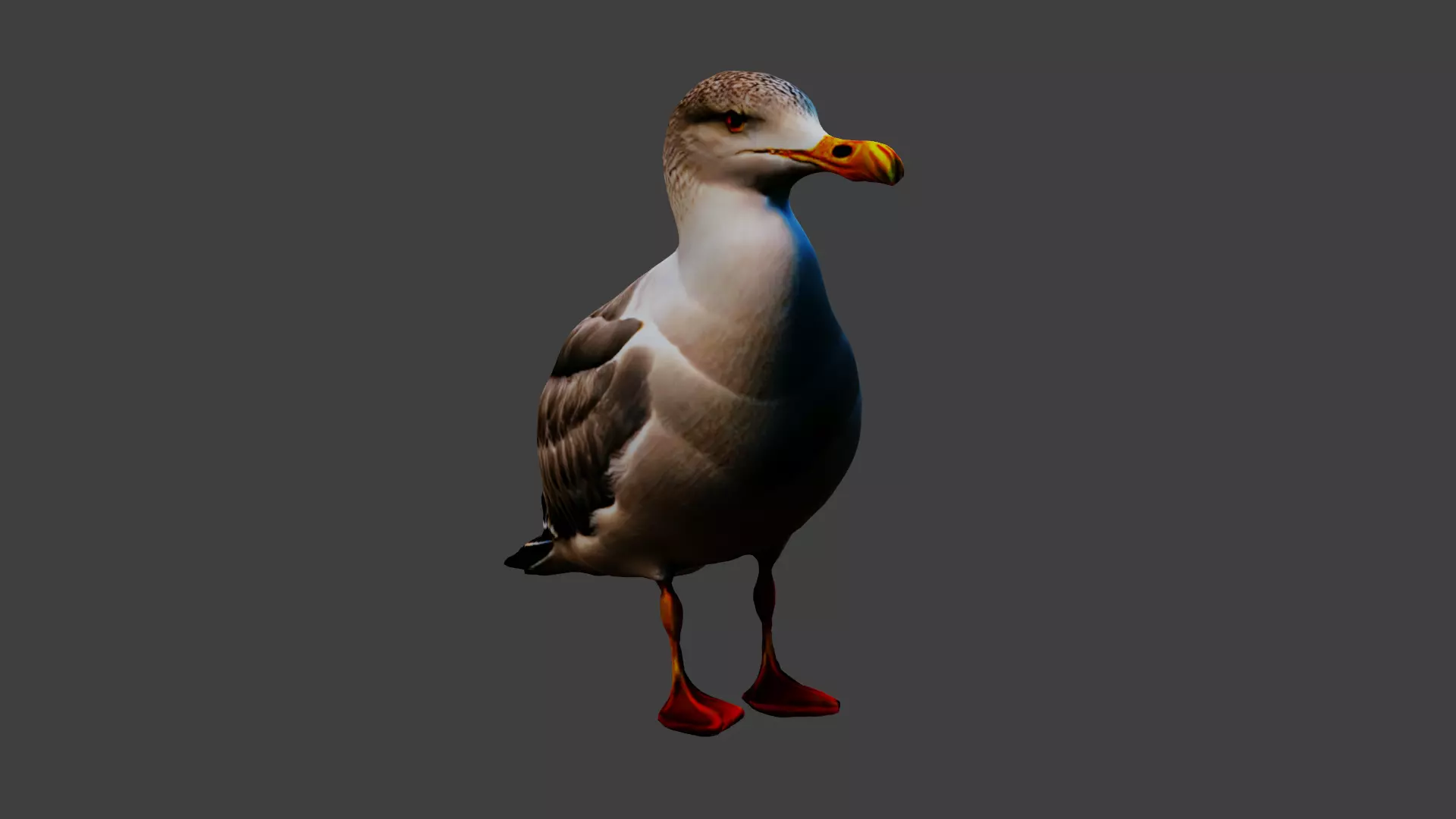 Seagull Animal Low-poly 3D model_0
