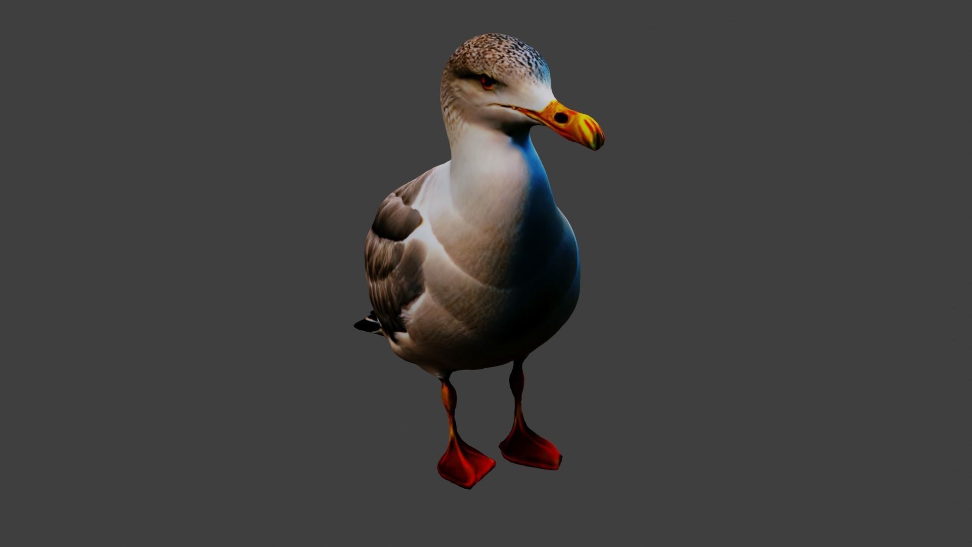 Seagull Animal Low-poly 3D model_6