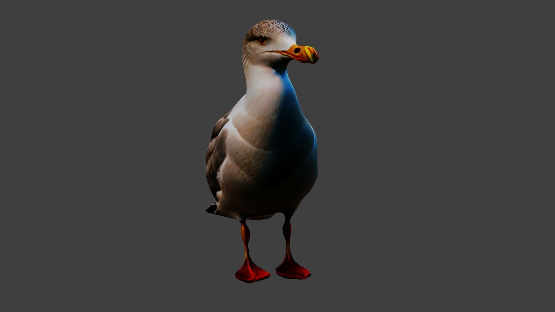 Seagull Animal Low-poly 3D model_2