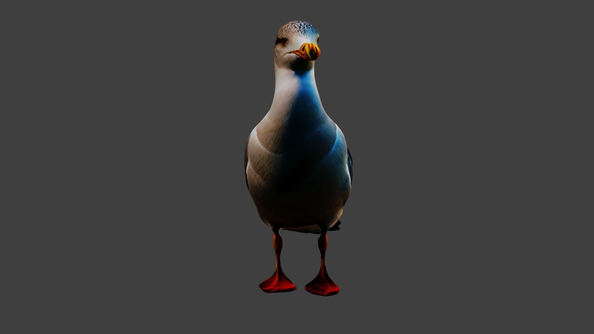 Seagull Animal Low-poly 3D model_3