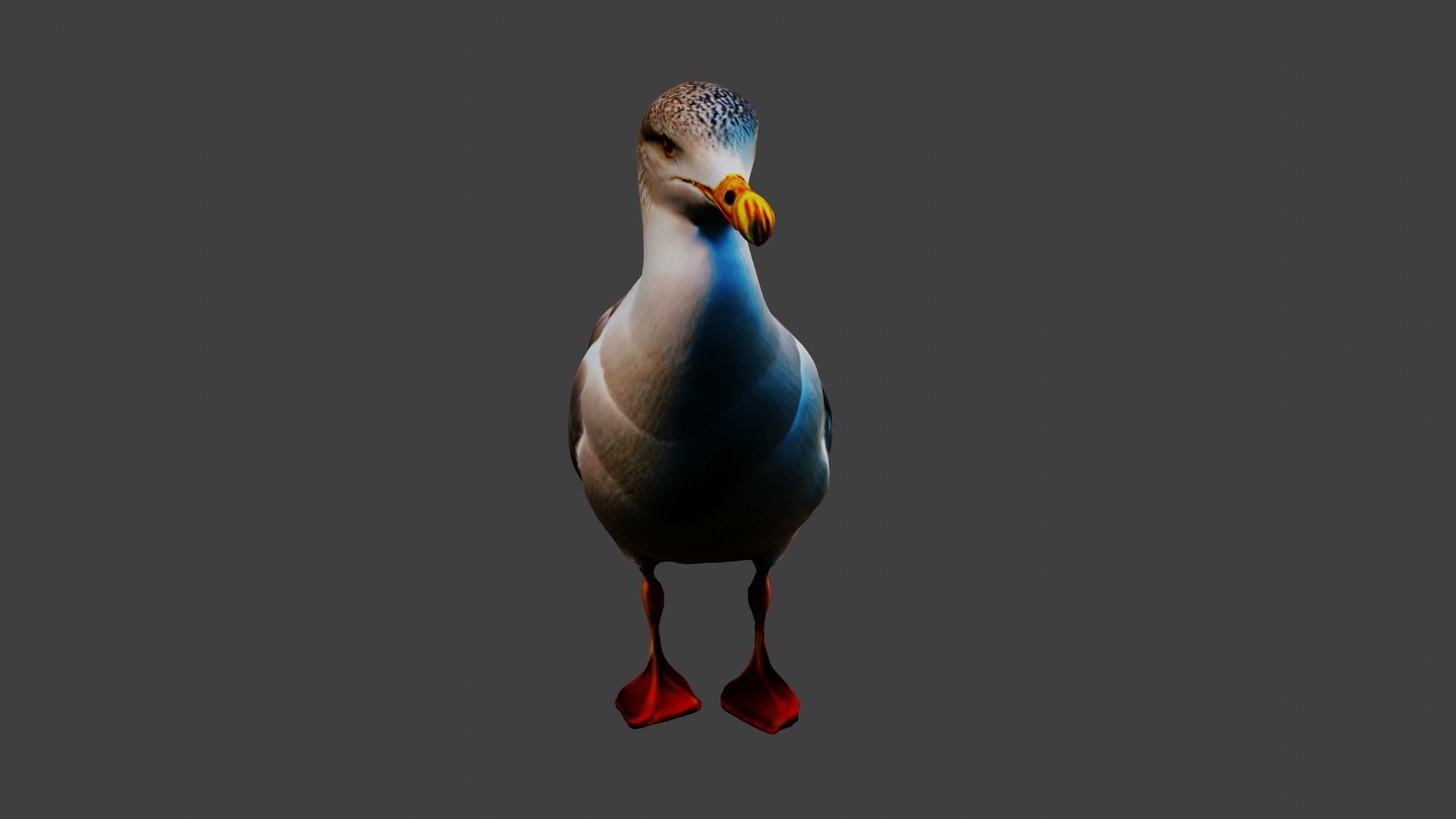 Seagull Animal Low-poly 3D model_5