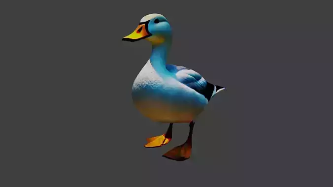 Duck Animal