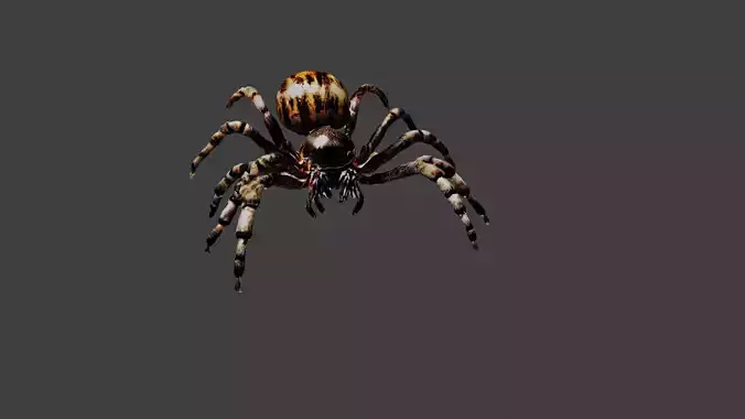 Spider Low-poly 3D model
