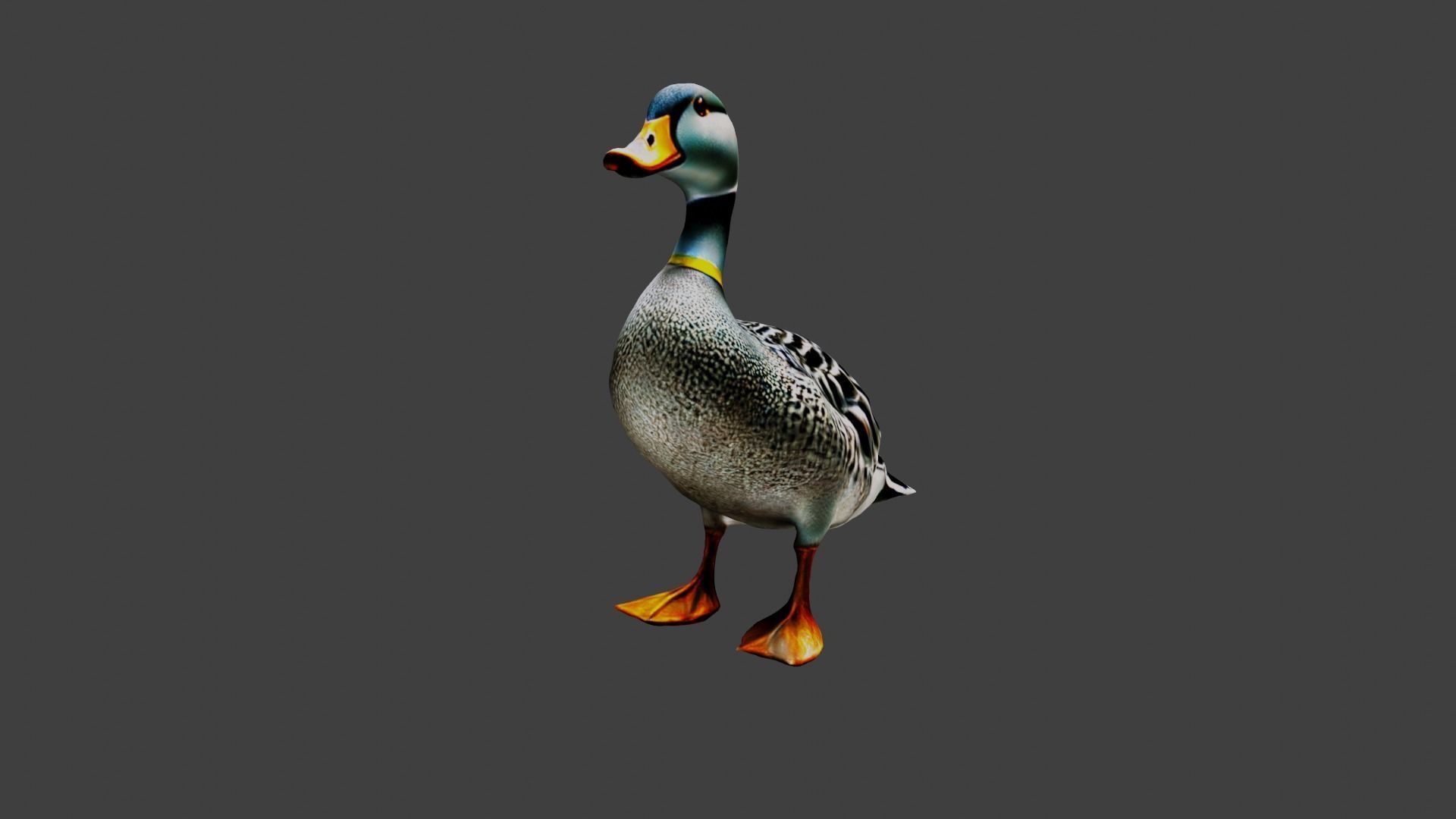 Duck Animal Low-poly 3D model_5