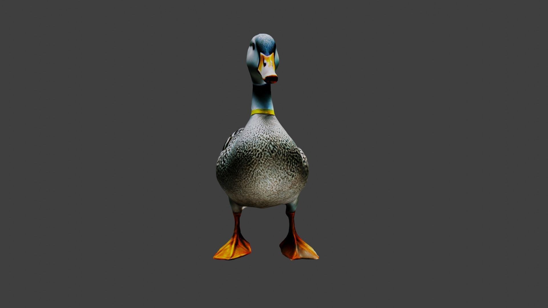 Duck Animal Low-poly 3D model_4