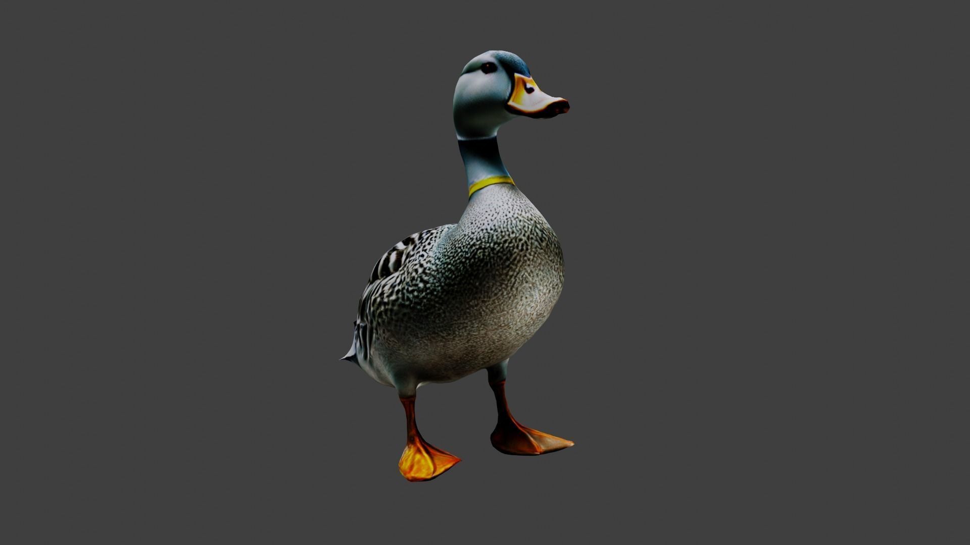 Duck Animal Low-poly 3D model_2