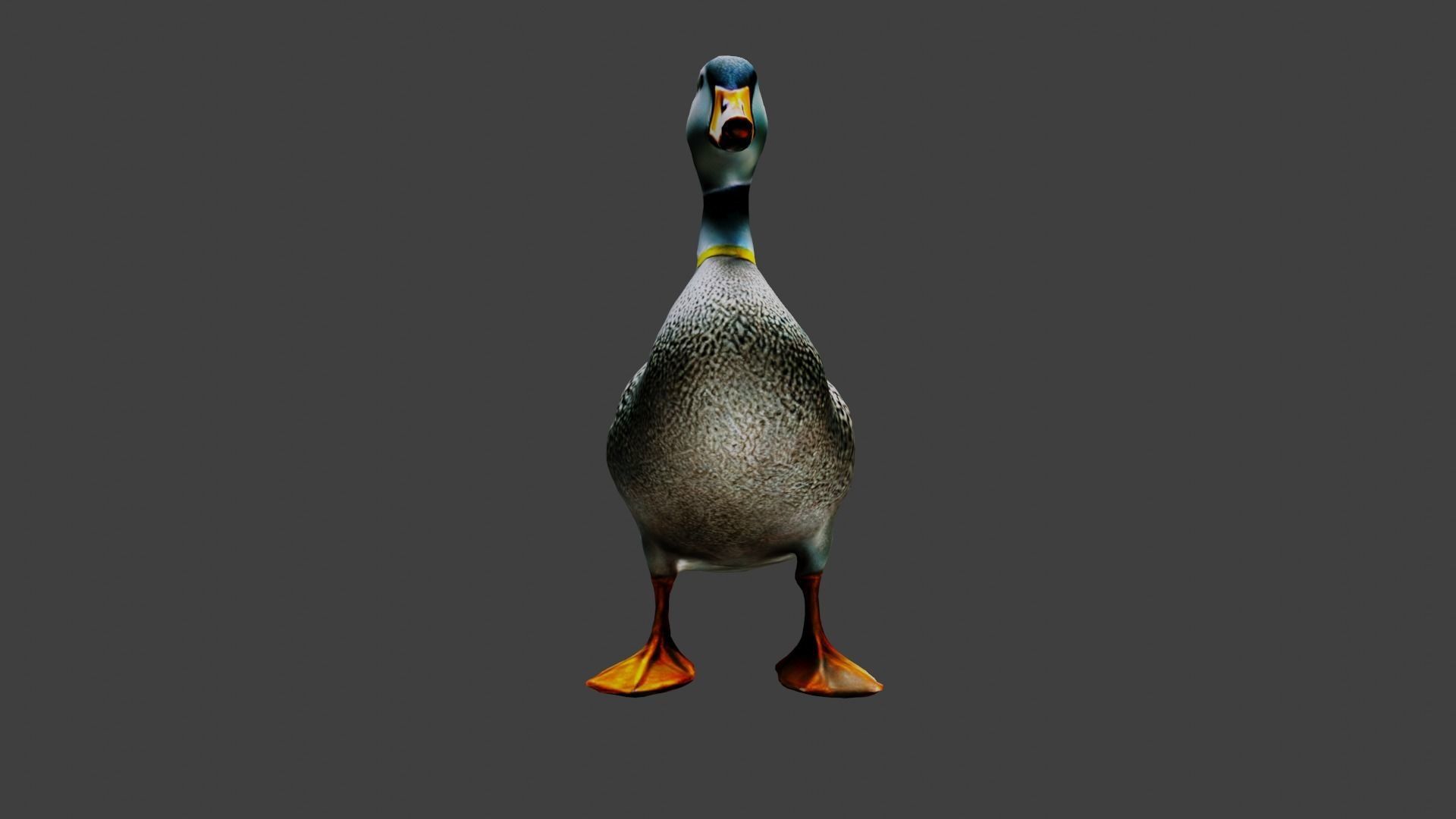 Duck Animal Low-poly 3D model_3