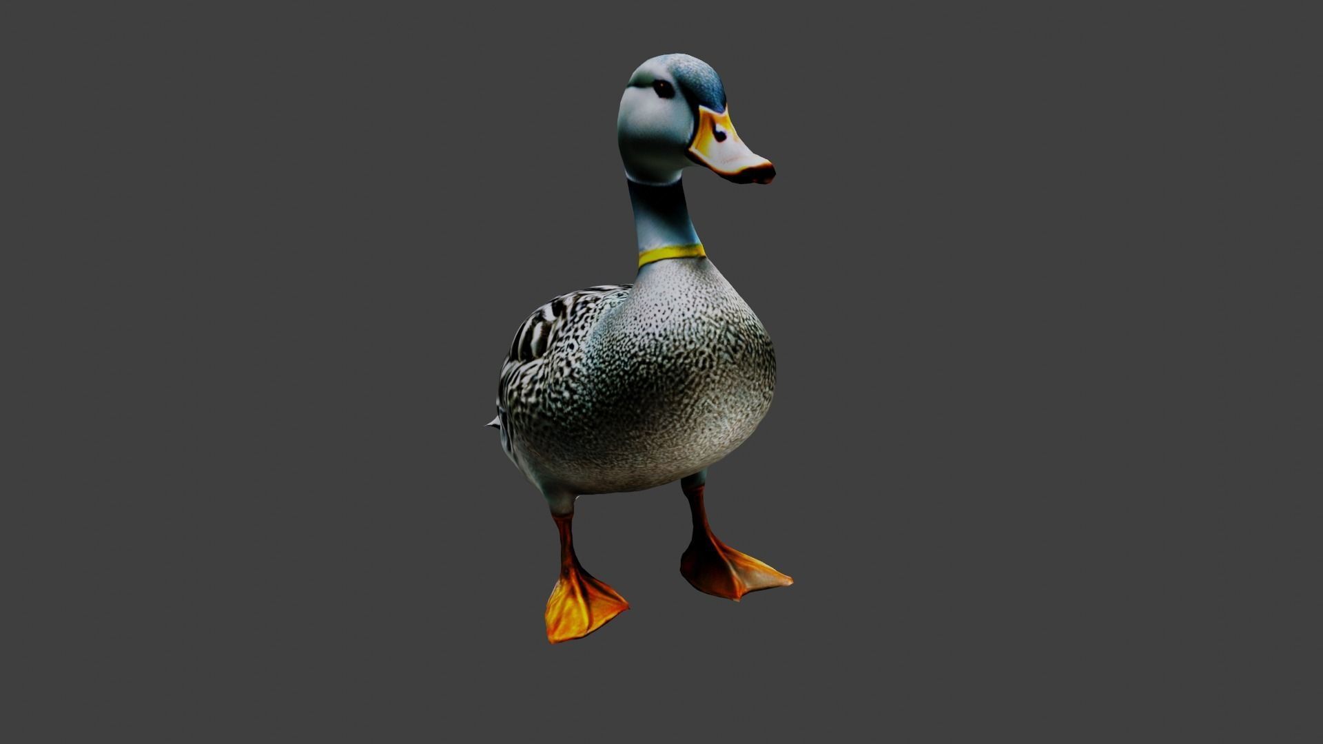Duck Animal Low-poly 3D model_6