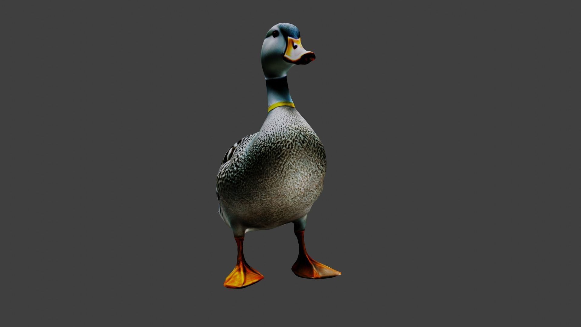 Duck Animal Low-poly 3D model_1