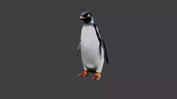 Penguin
