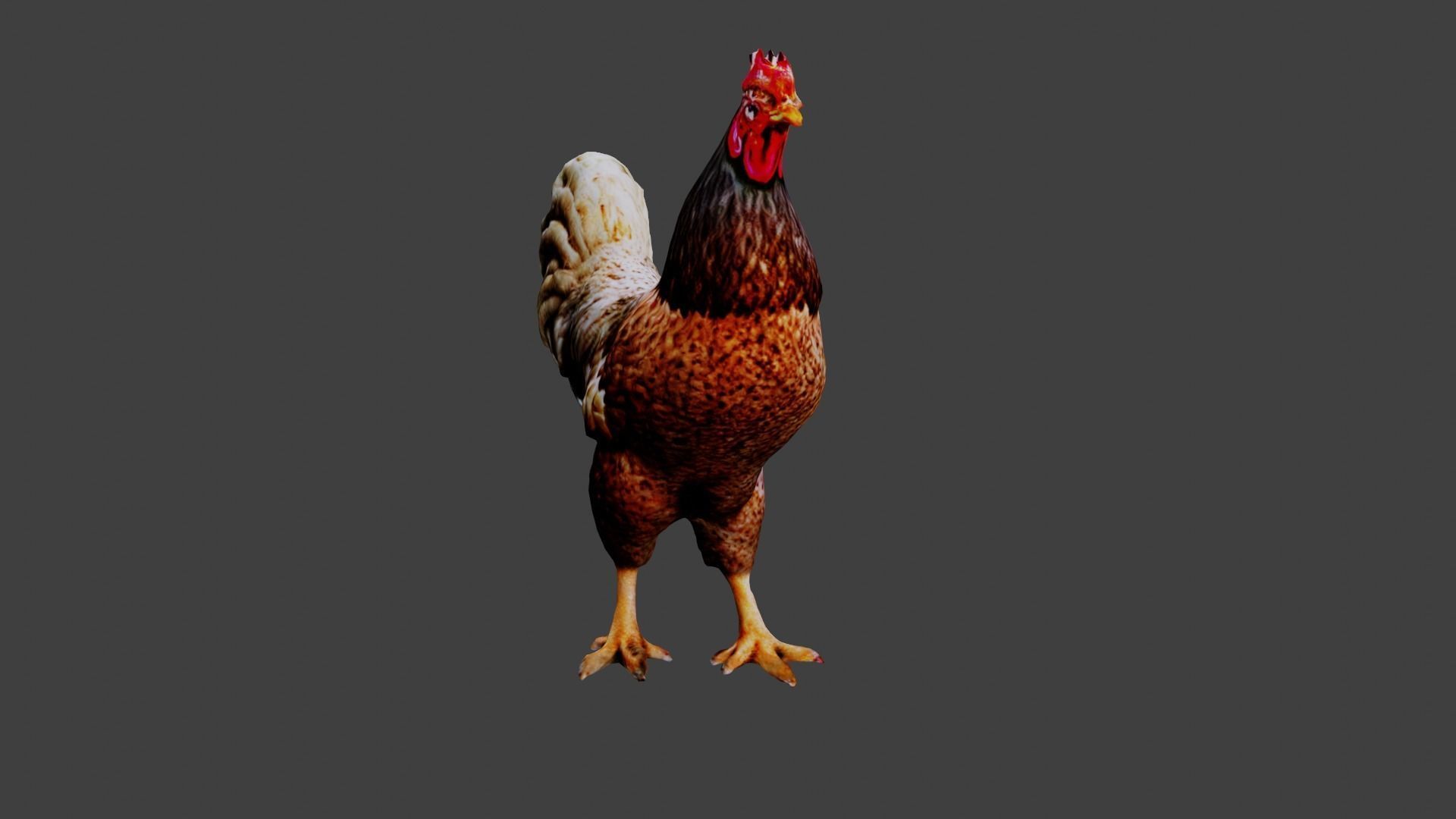 Chicken  Low-poly 3D model_1