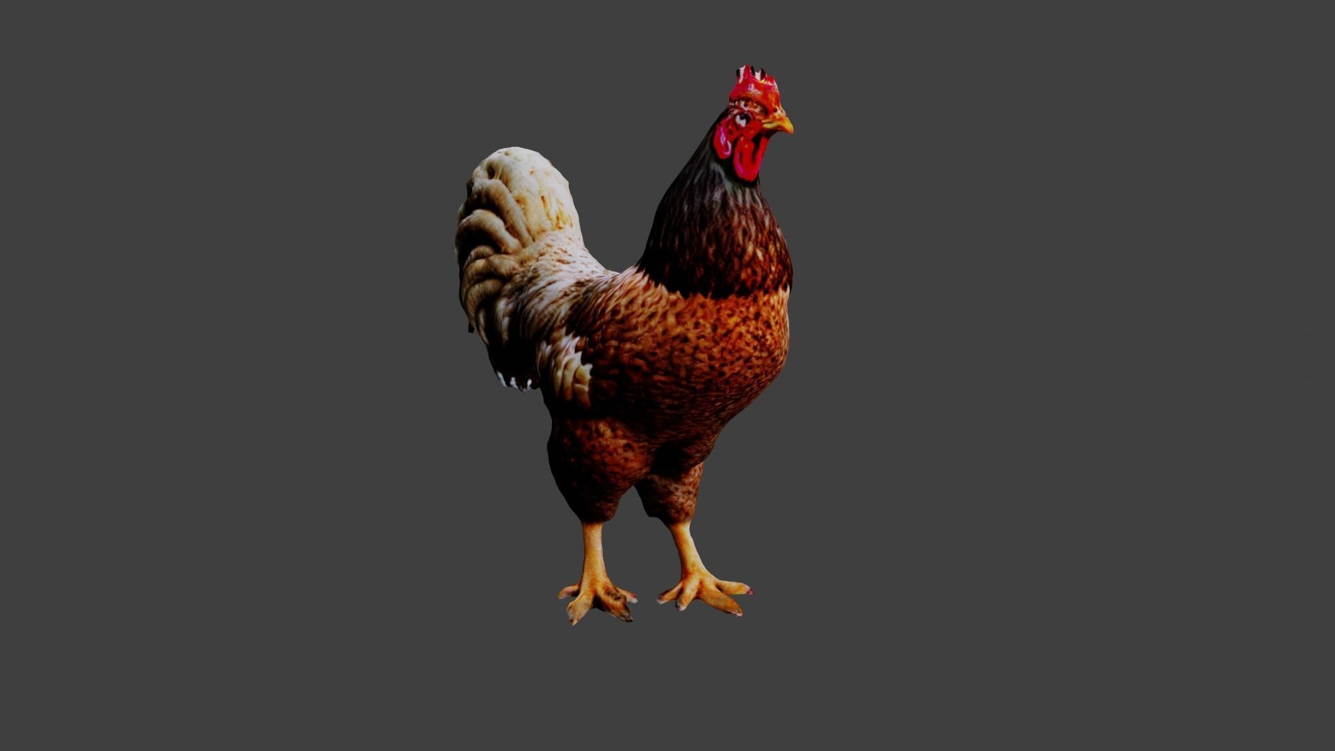 Chicken  Low-poly 3D model_5