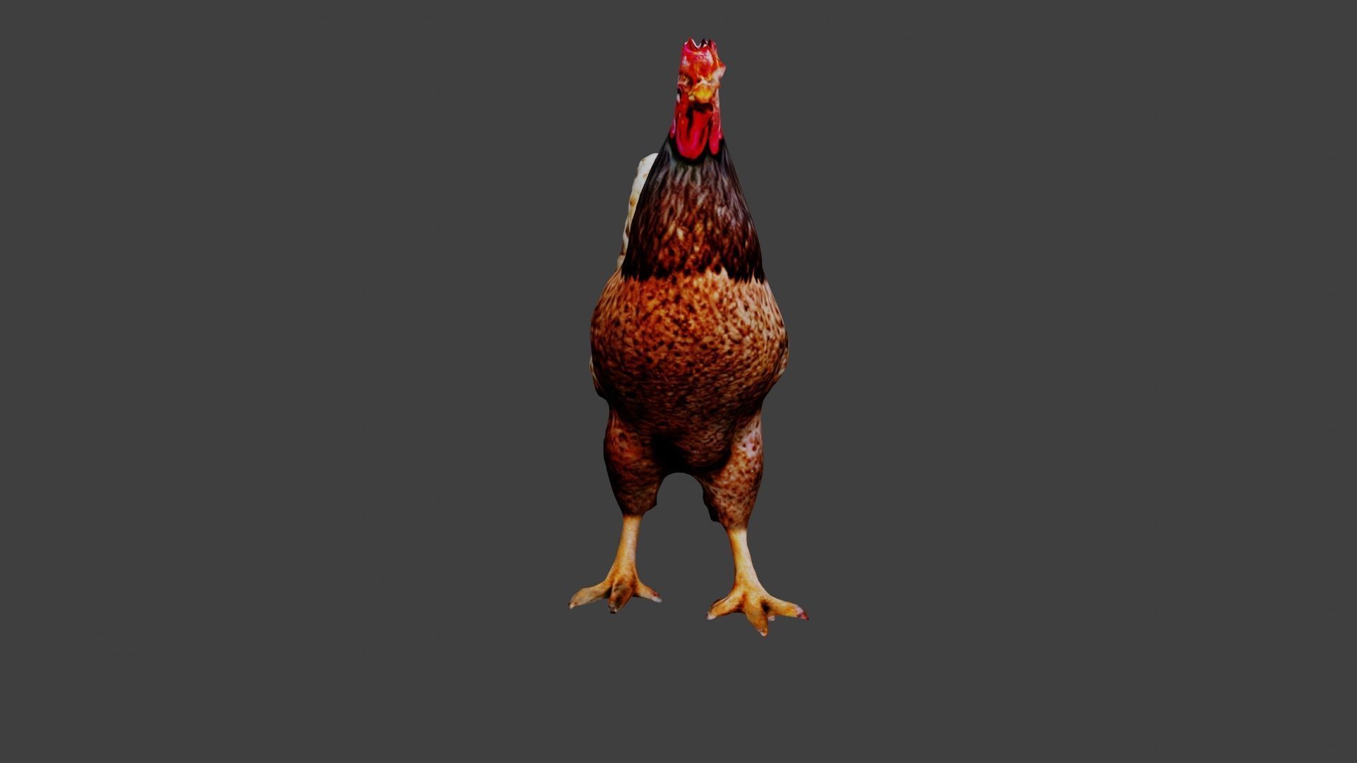 Chicken  Low-poly 3D model_2