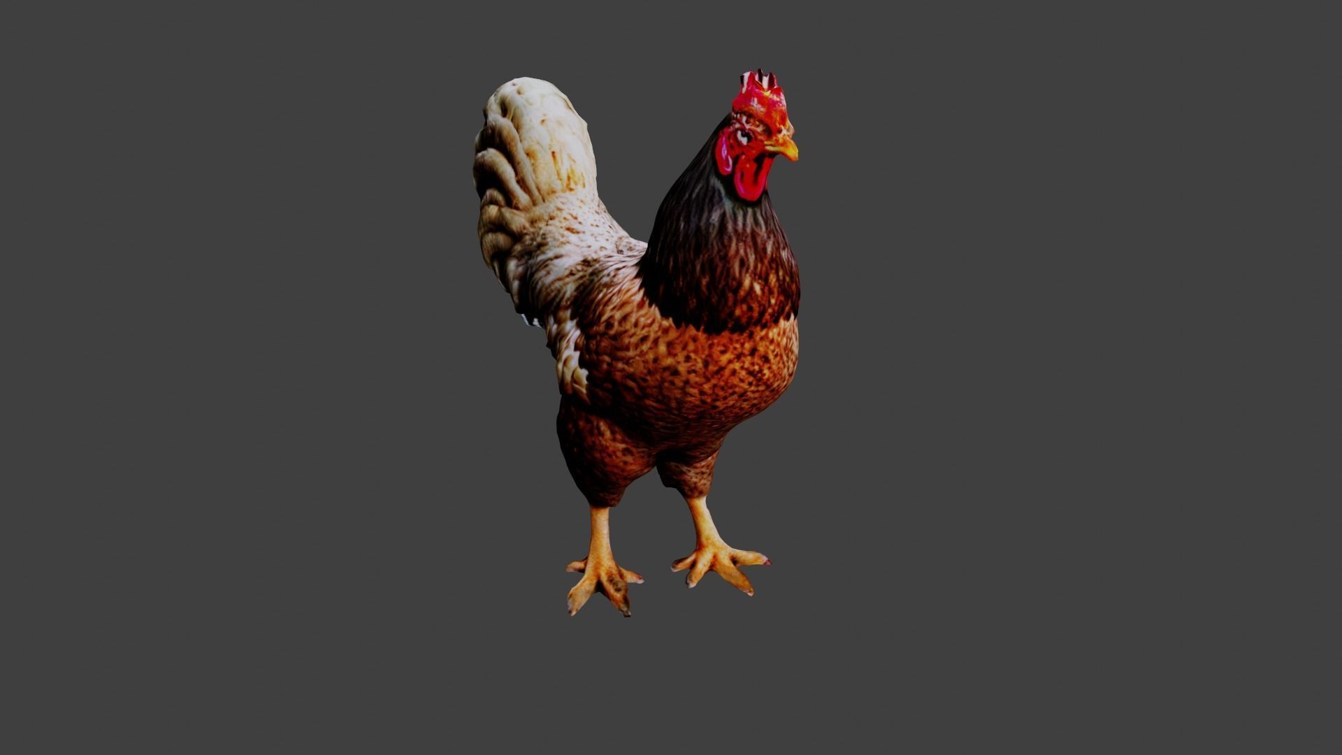 Chicken  Low-poly 3D model_6
