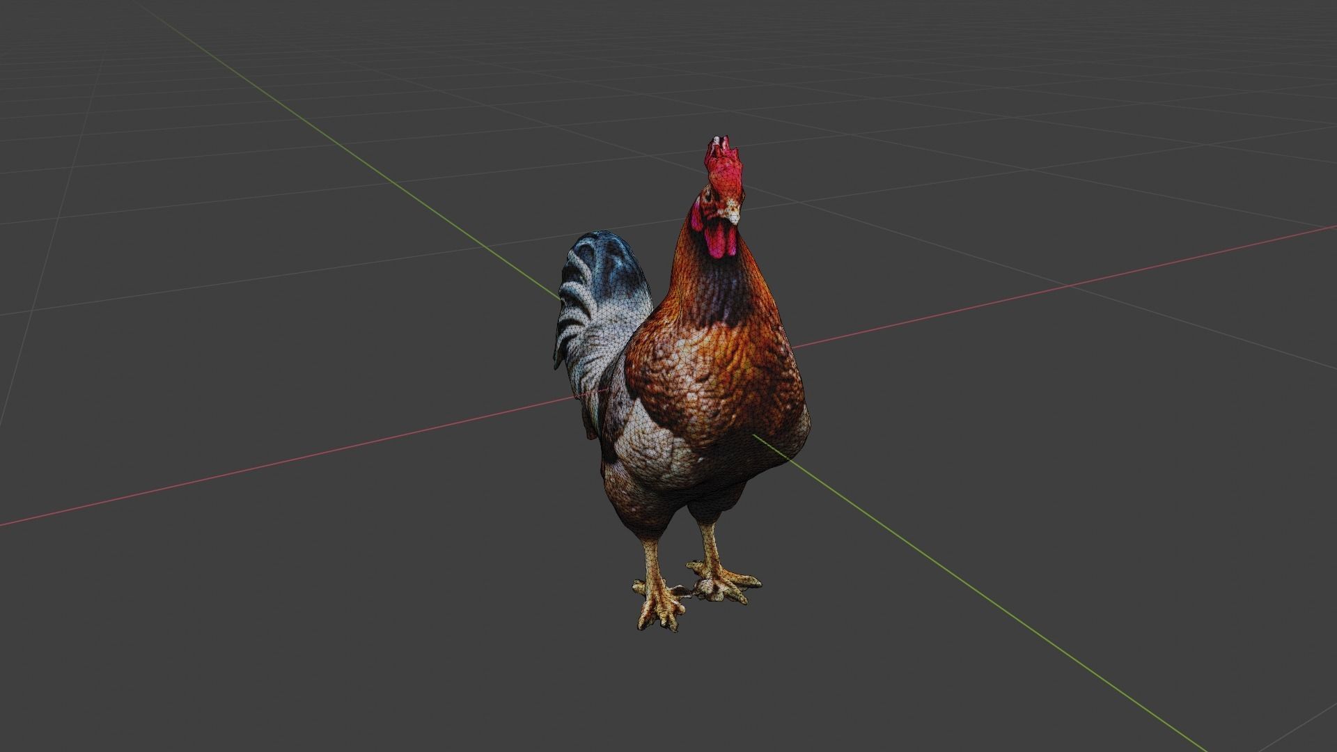 Chicken Animal Low-poly 3D model_7