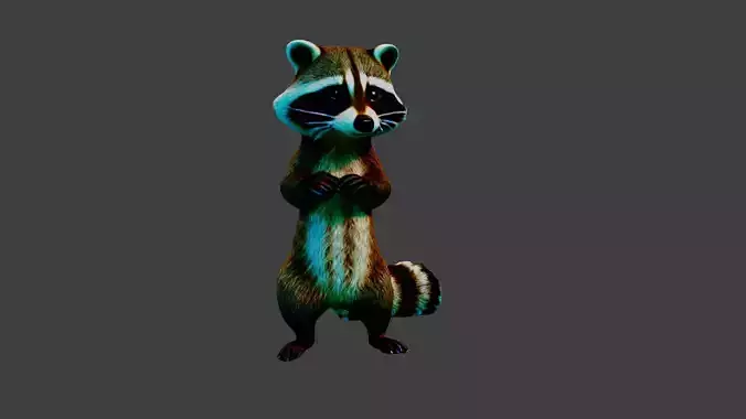 Raccoon Animal