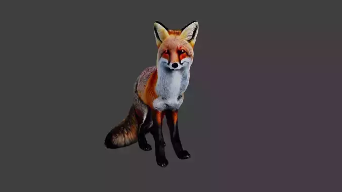 Fox Animal