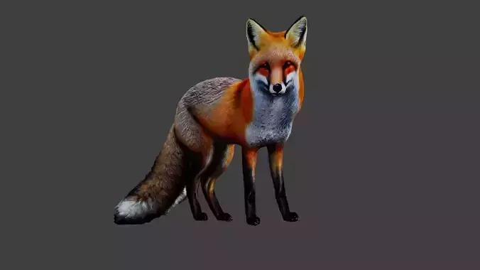 Fox Animal Low-poly 3D model