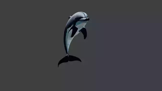 Dolphin