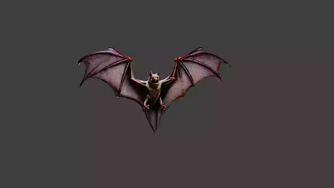 Bat Animal Low-poly 3D model