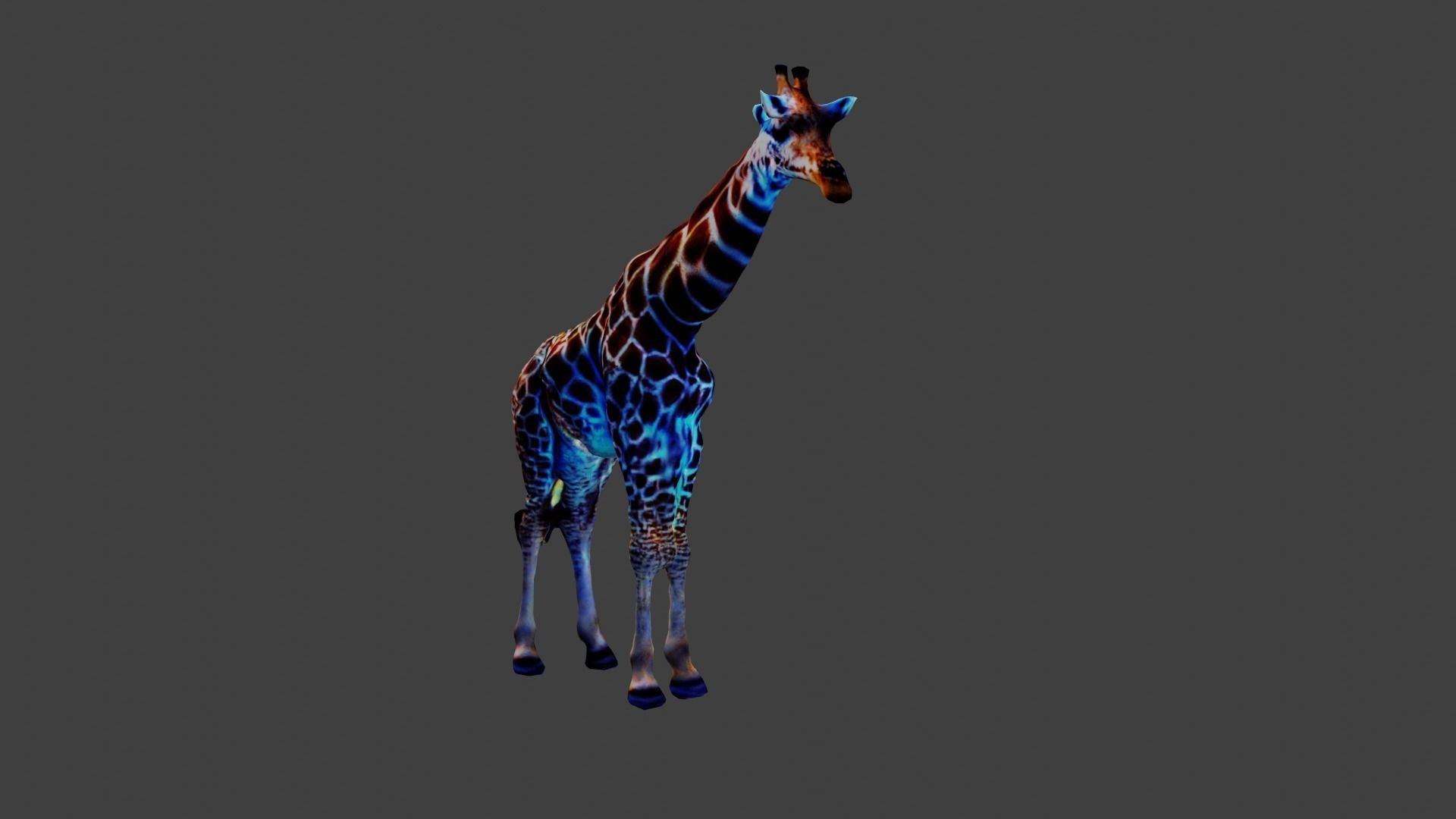 Giraffe Animal Low-poly 3D model_5