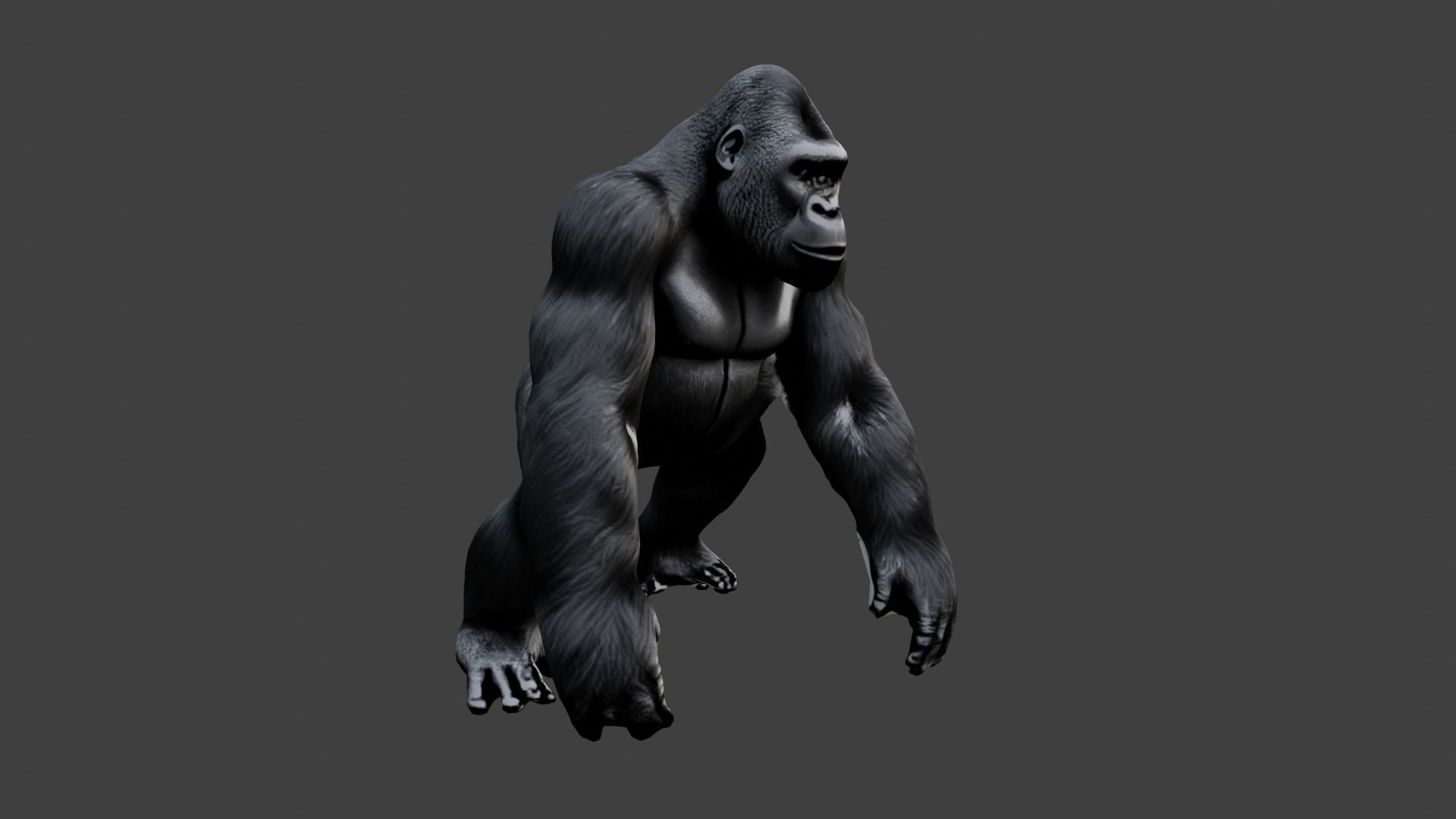 Gorilla Low-poly 3D model_5