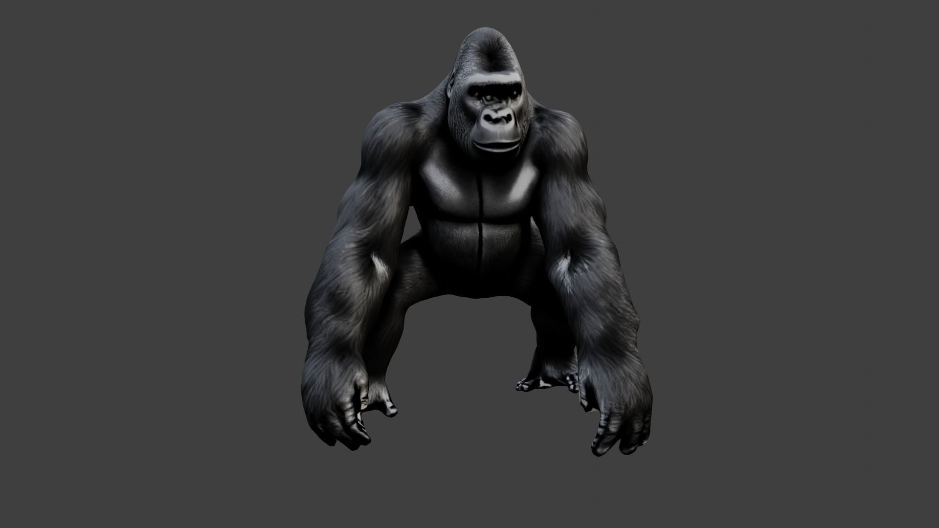 Gorilla Low-poly 3D model_1