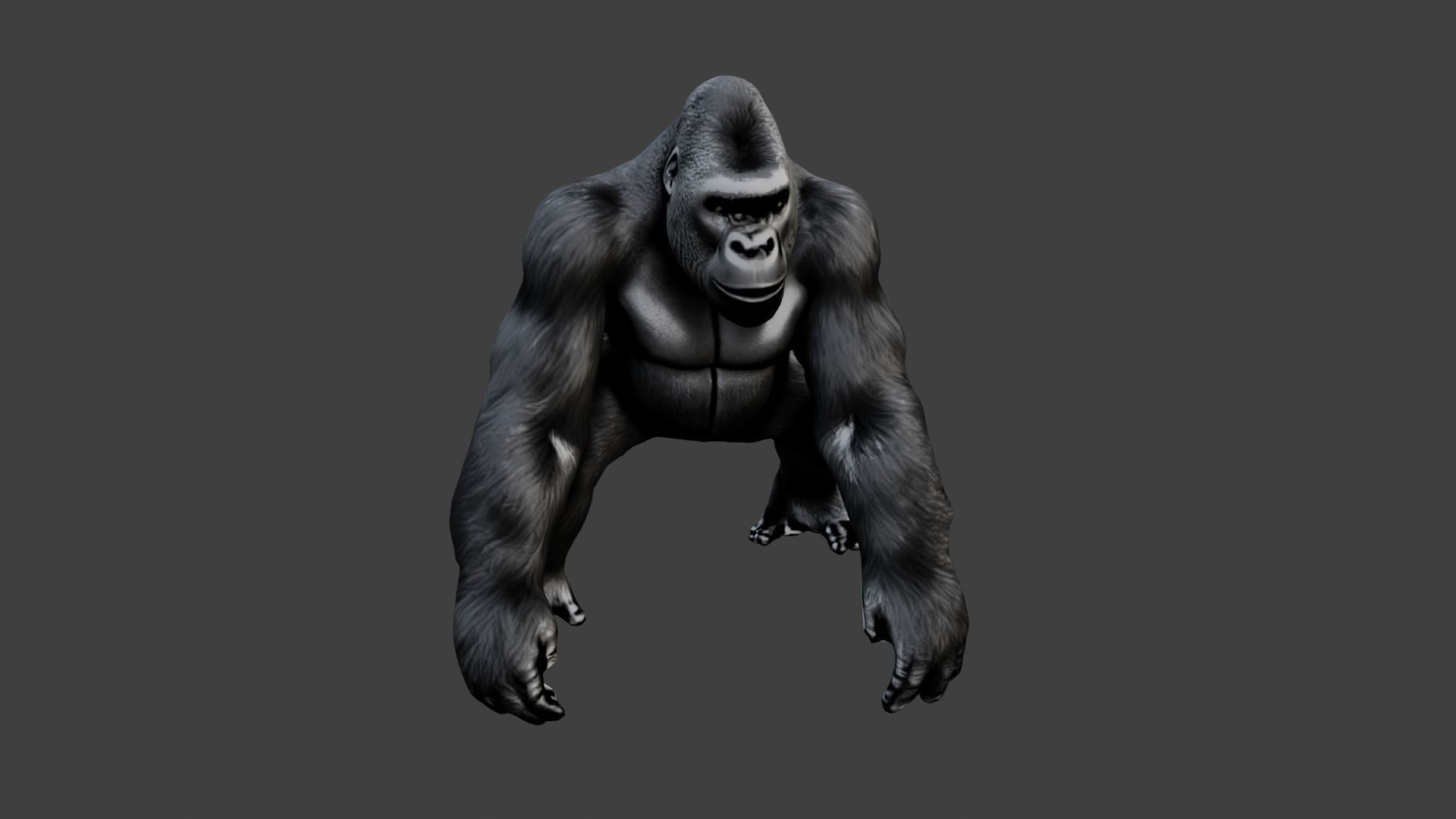 Gorilla Low-poly 3D model_3