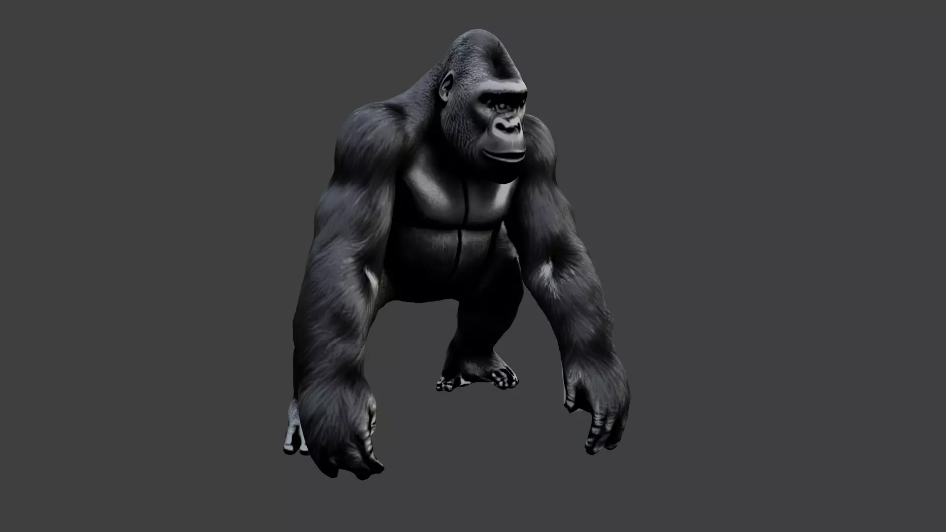 Gorilla Low-poly 3D model_0