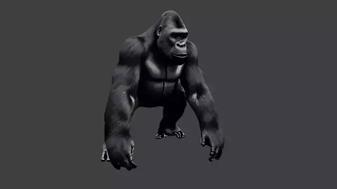 Gorilla