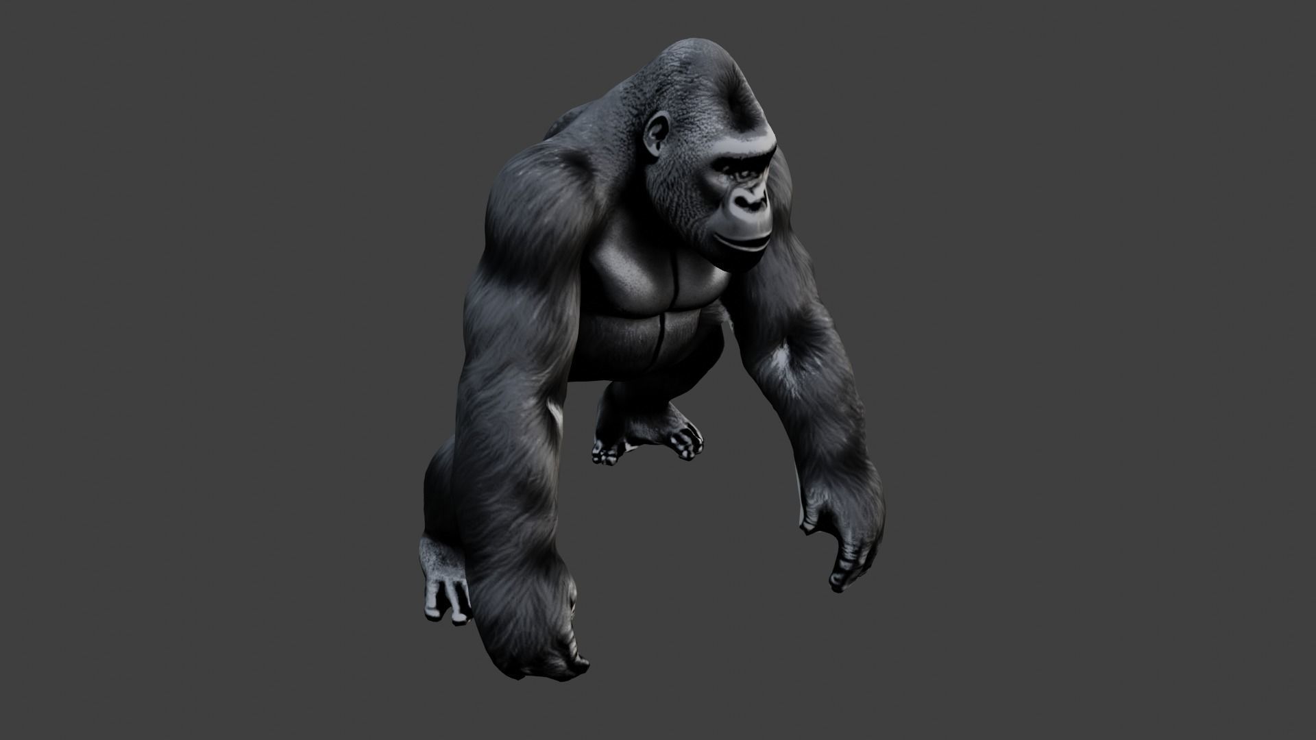 Gorilla Low-poly 3D model_6