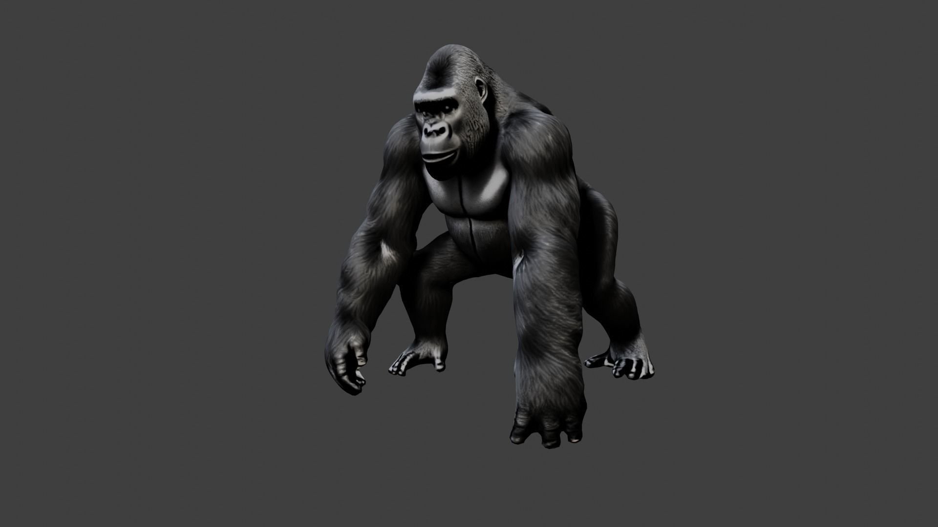 Gorilla Low-poly 3D model_4