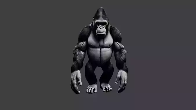 Gorilla Animal