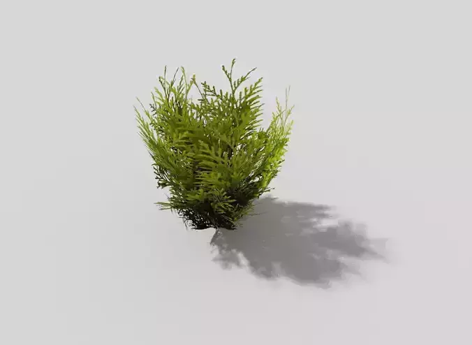 low poly shrub plant Low-poly 3D model
