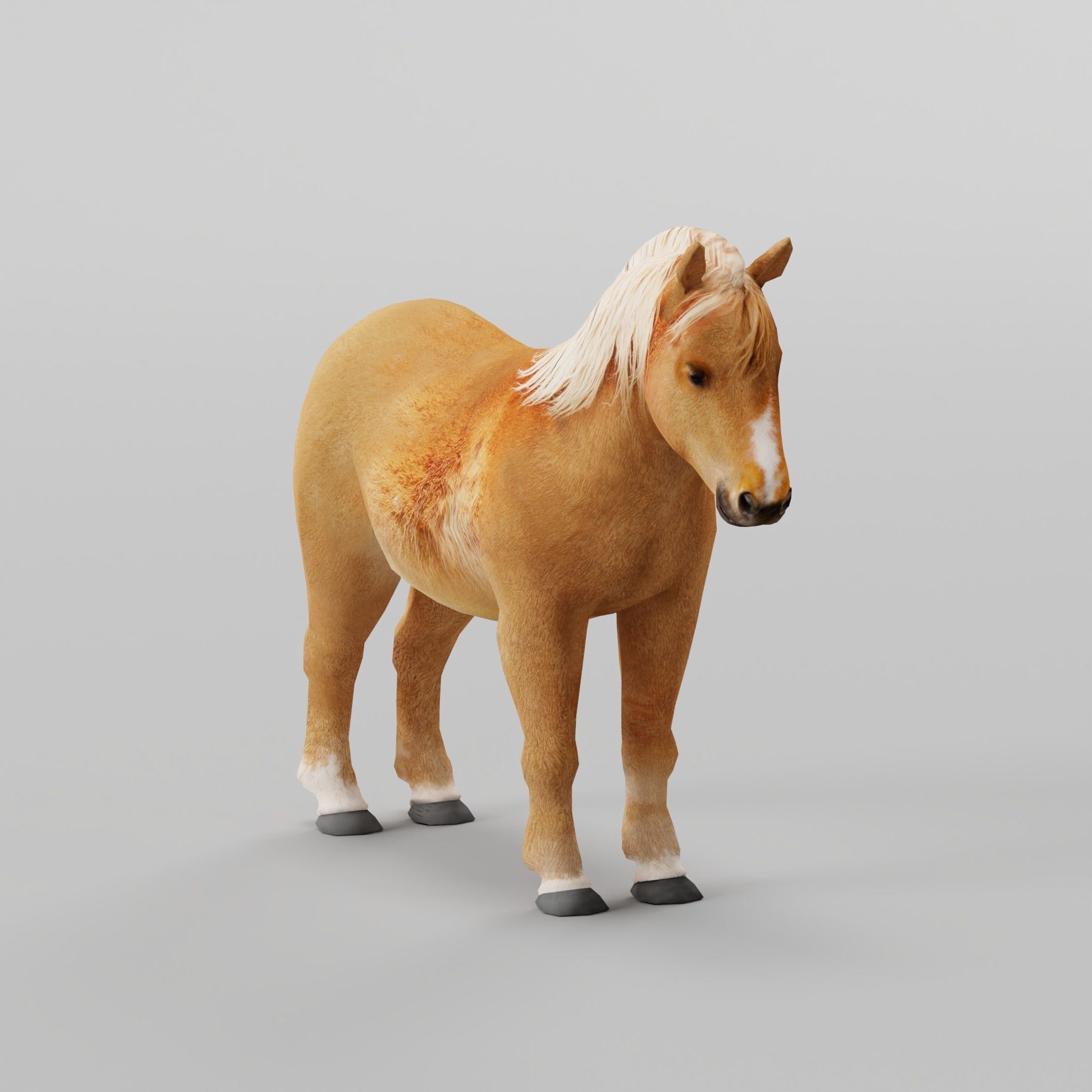 Pony Small Horse Animal Low-poly 3D model_4