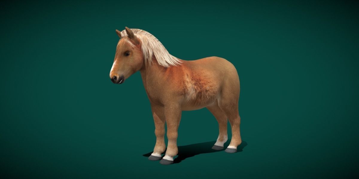 Pony Small Horse Animal Low-poly 3D model_7