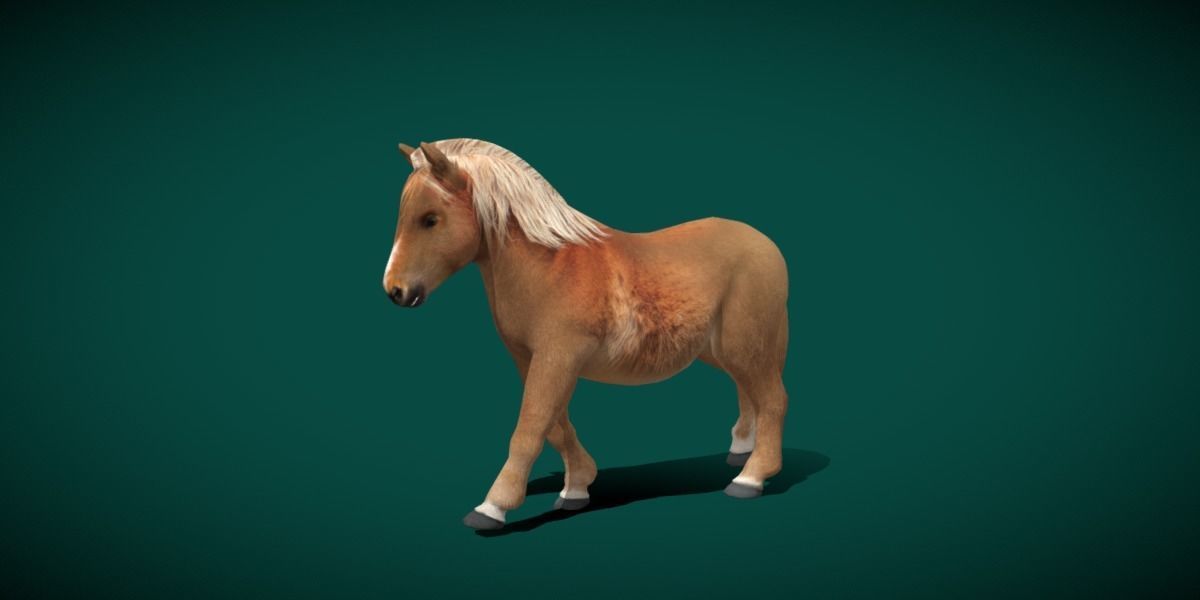 Pony Small Horse Animal Low-poly 3D model_27