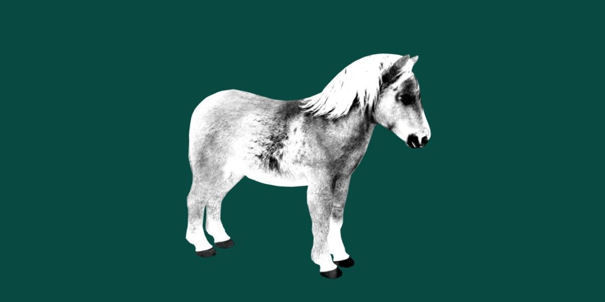 Pony Small Horse Animal Low-poly 3D model_25