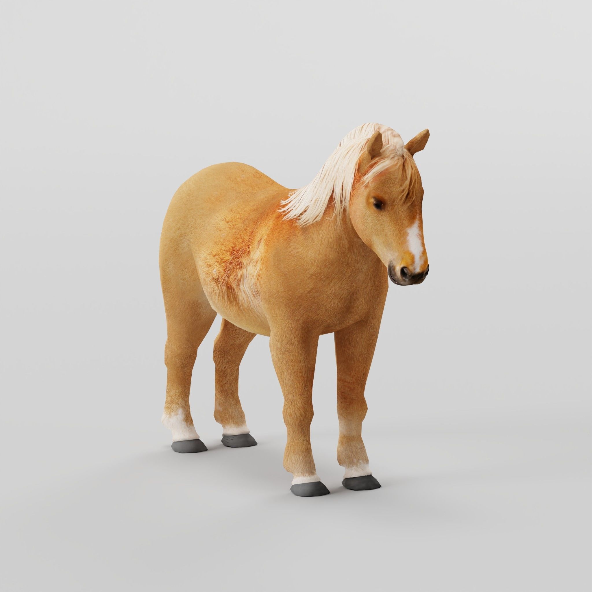 Pony Small Horse Animal Low-poly 3D model_2