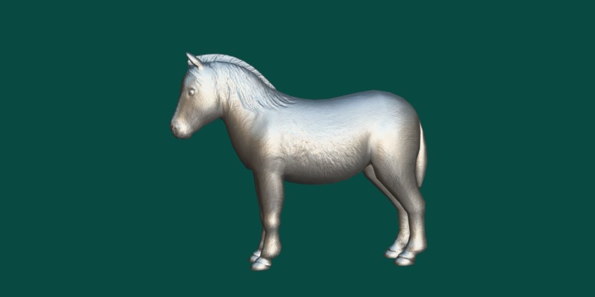 Pony Small Horse Animal Low-poly 3D model_9